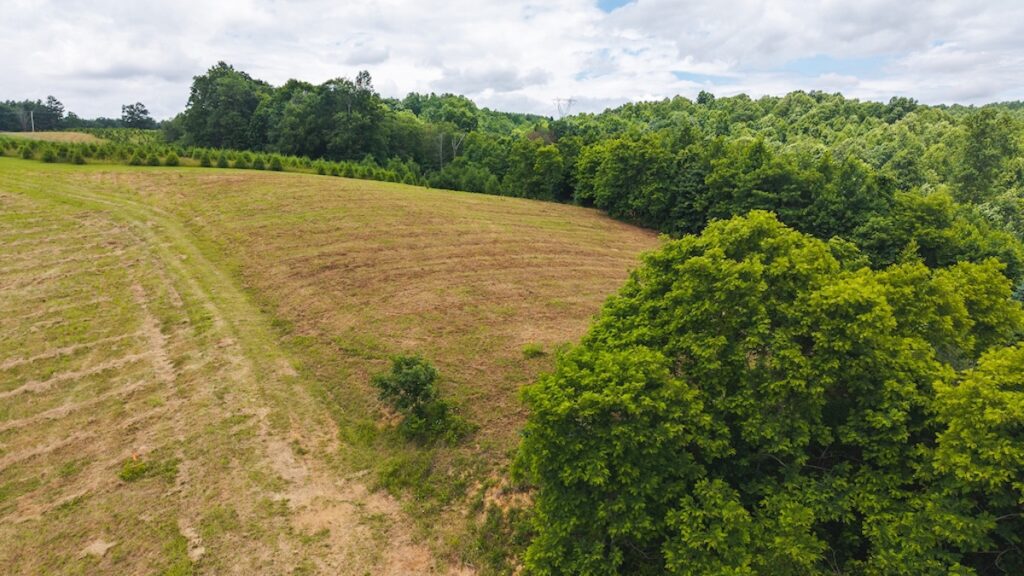 ef280a2b-d558-4df5-9ee9-82444dd73299.jpg