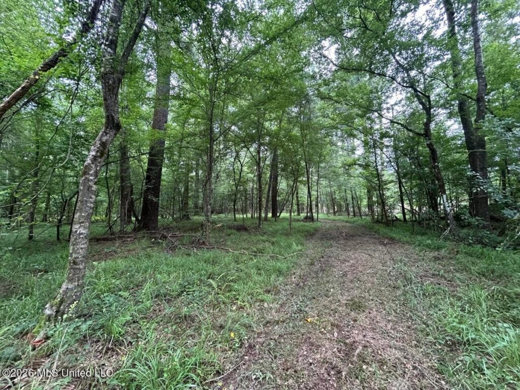 ef9025ed-e7f9-4c00-895d-f762807351b6.jpg