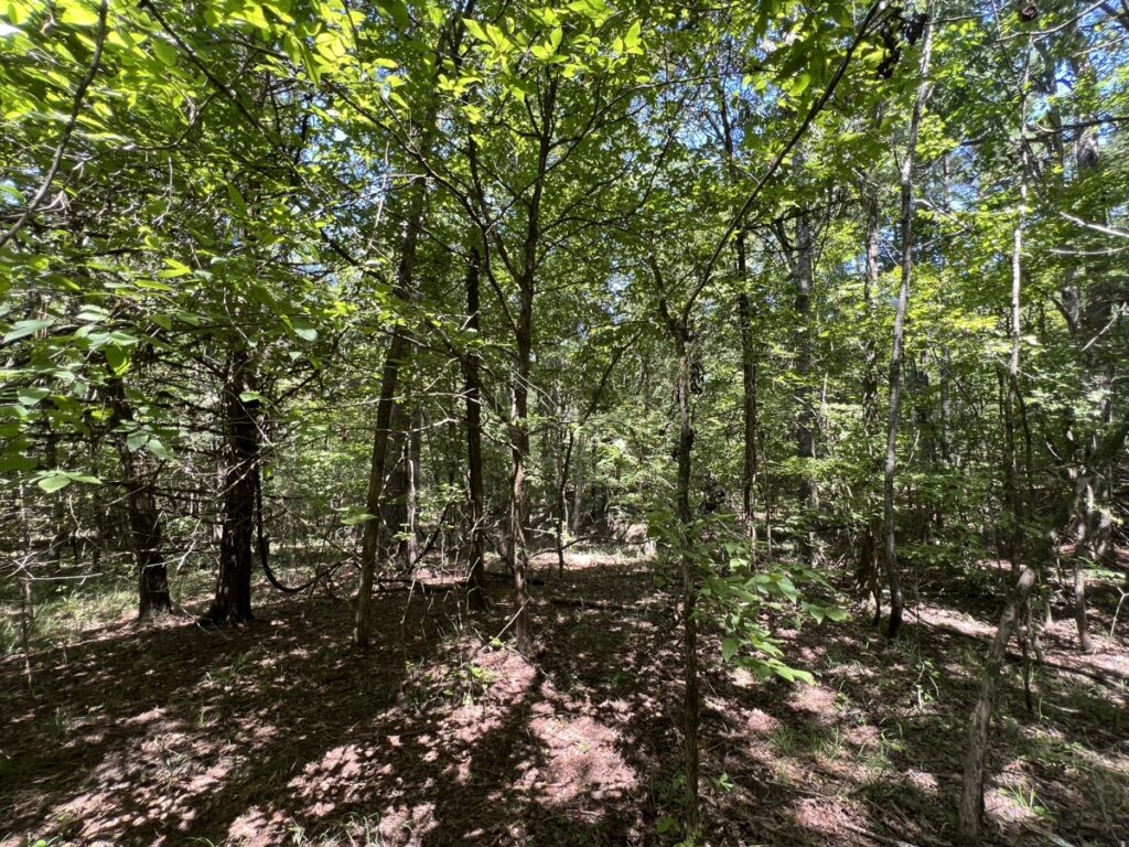 Property photo for land for sale in Clark County Arkansas