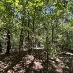 Property photo for land for sale in Clark County Arkansas