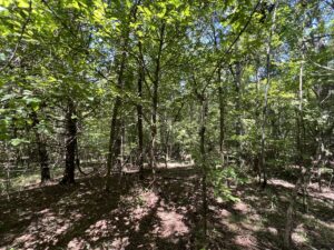 Property photo for land for sale in Clark County Arkansas