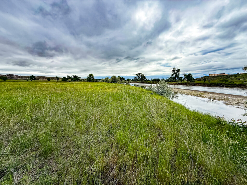 f00bac51-f37e-4057-b027-e5dbf740f644.jpg