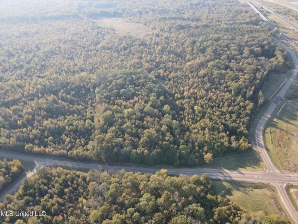 f0714356-c97d-48e8-aeaa-9484d47b6c1a.jpeg
