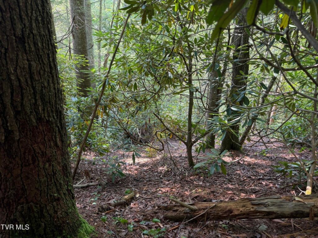 Property photo for land for sale in  County Tennessee