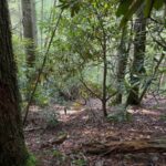 Property photo for land for sale in  County Tennessee