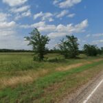 Property photo for land for sale in Hopkins County Texas