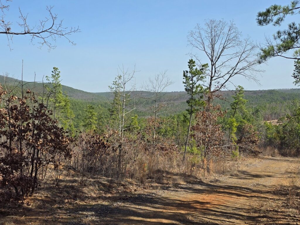 Property photo for land for sale in Le Flore County Oklahoma