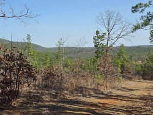 Property photo for land for sale in Le Flore County Oklahoma