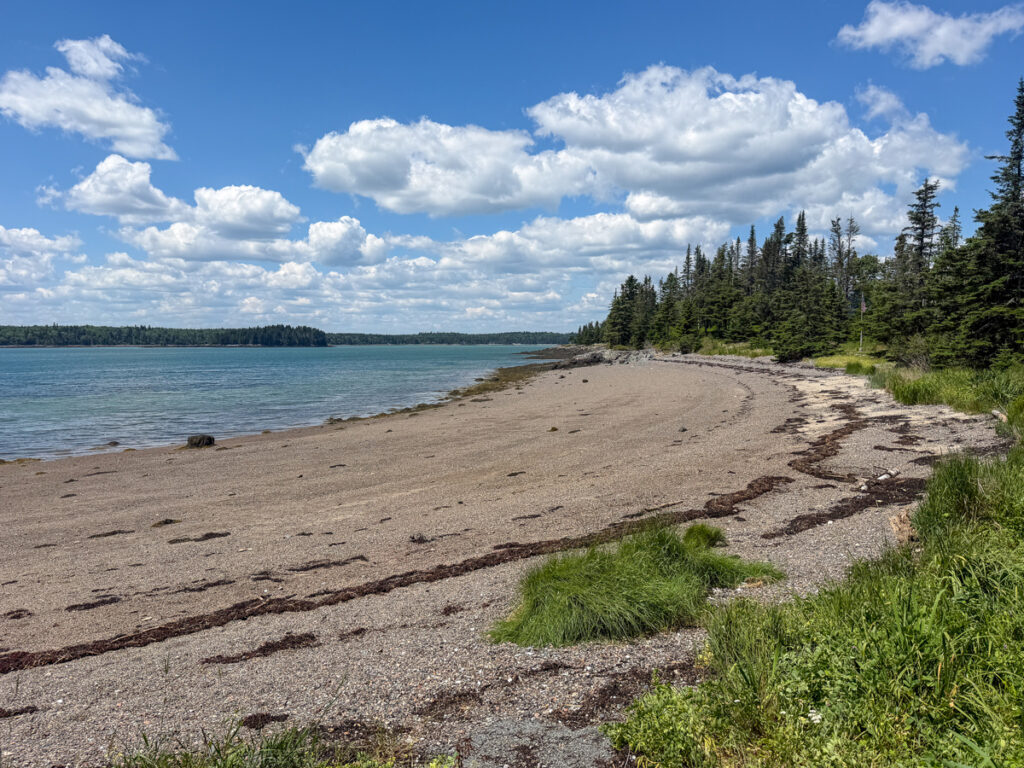 Property photo for land for sale in Washington County Maine