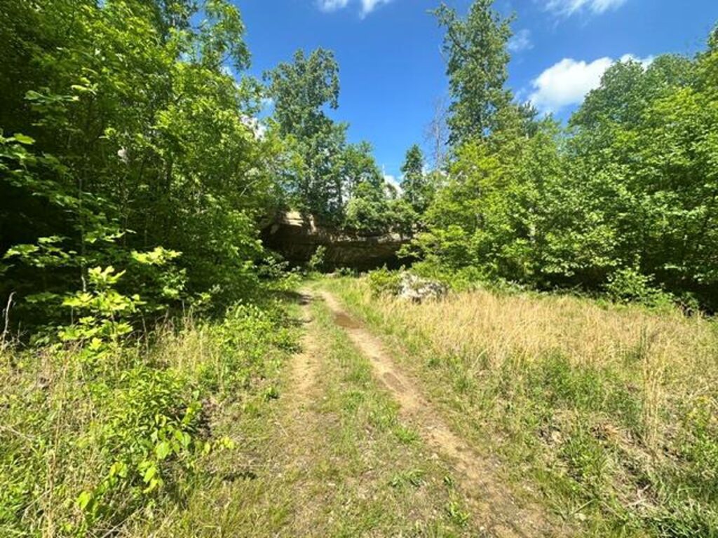 Property photo for land for sale in Overton County Tennessee