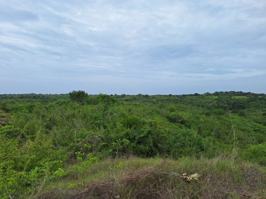 f7342911-cd36-4e74-9362-72e301bca343.jpg