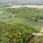 Property photo for land for sale in Halifax County Virginia