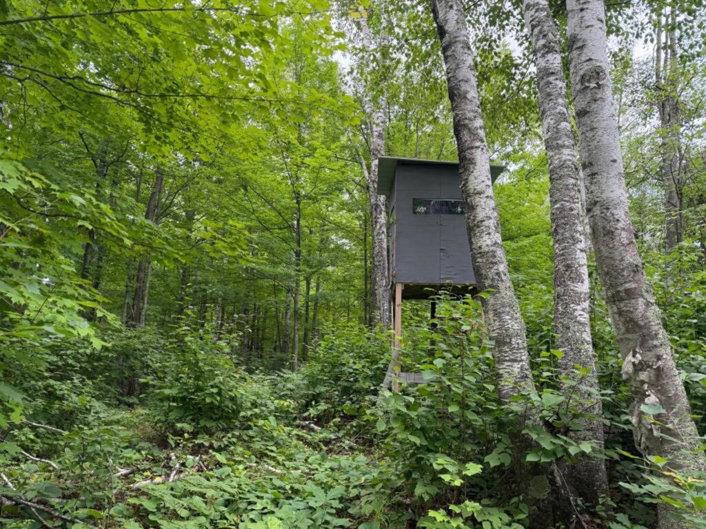 Property photo for land for sale in Pine County Minnesota