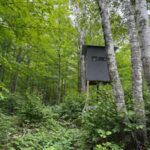 Property photo for land for sale in Pine County Minnesota