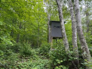 Property photo for land for sale in Pine County Minnesota