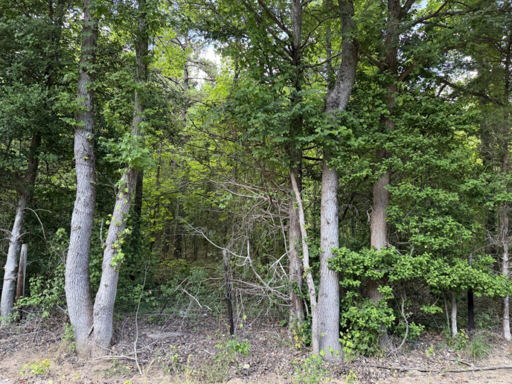 Property photo for land for sale in McNairy County Tennessee