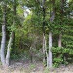 Property photo for land for sale in McNairy County Tennessee