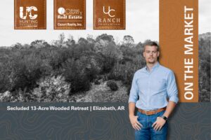 Property photo for land for sale in Fulton County Arkansas