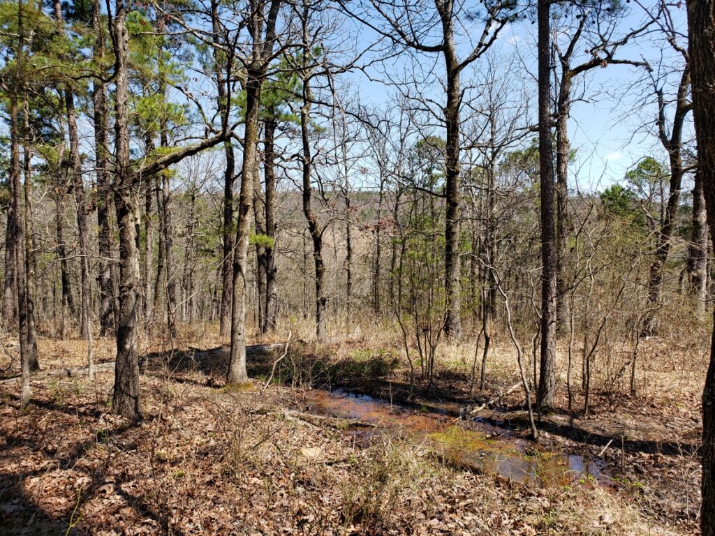 fc0f4c88-9a08-4215-9455-58ce9e97aa5c.jpg