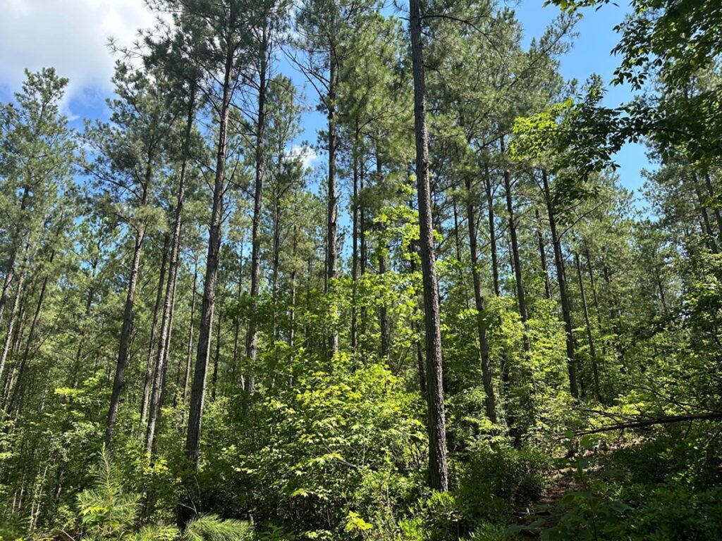 fe203d61-3b6e-416e-b2cc-3a5b8c990cd7.jpg