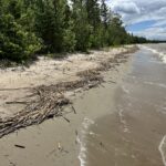 Property photo for land for sale in Beltrami County Minnesota