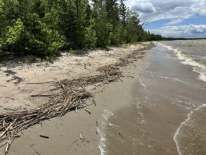 Property photo for land for sale in Beltrami County Minnesota