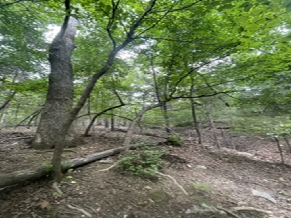 fe9103bc-89e0-46d5-8019-e2c663ae3937.jpg