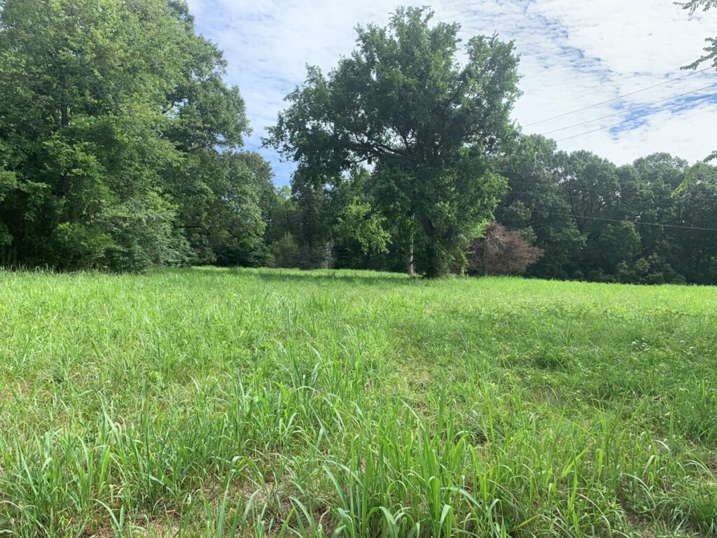 Property photo for land for sale in Marion County Arkansas