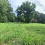 Property photo for land for sale in Marion County Arkansas