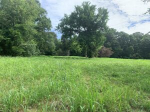 Property photo for land for sale in Marion County Arkansas