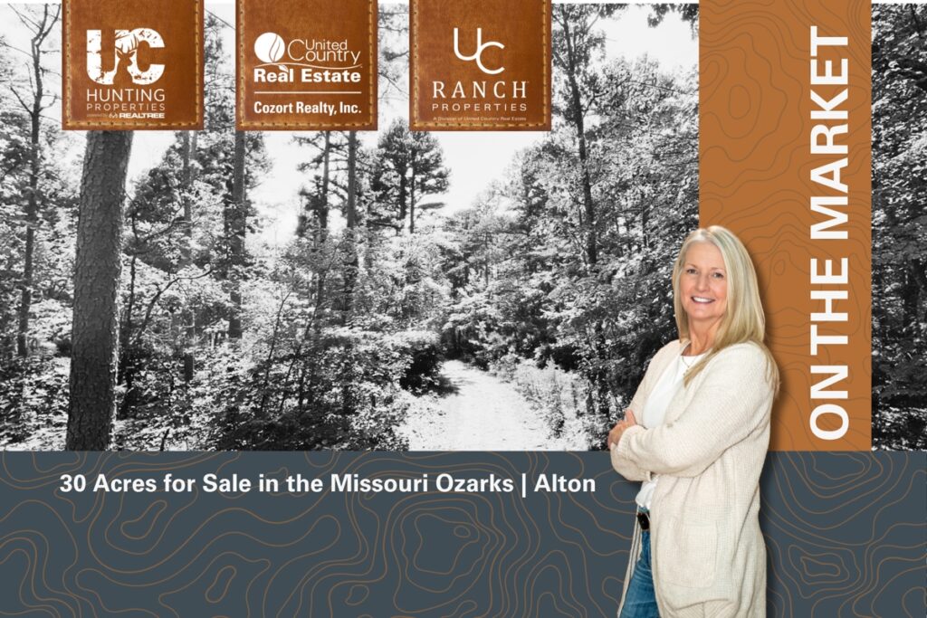 Property photo for land for sale in Oregon County Missouri