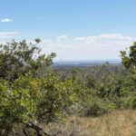 Property photo for land for sale in La Plata County Colorado