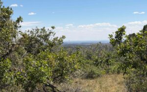 Property photo for land for sale in La Plata County Colorado
