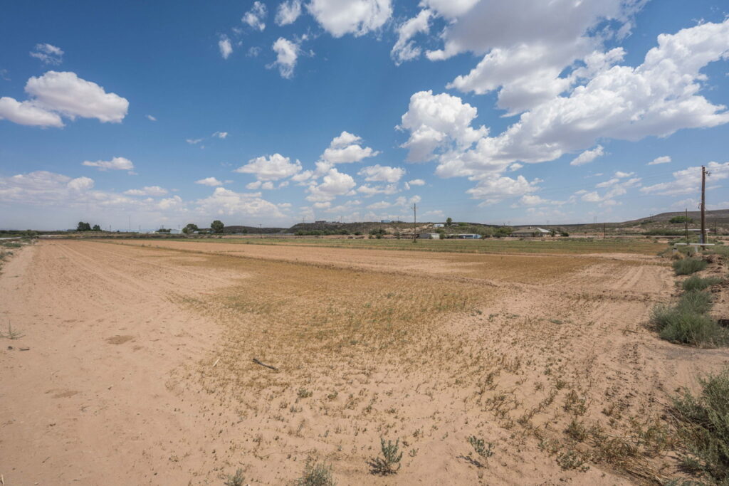 08c9a0ba-abca-4e88-a975-2d77bc7f6f89.jpg
