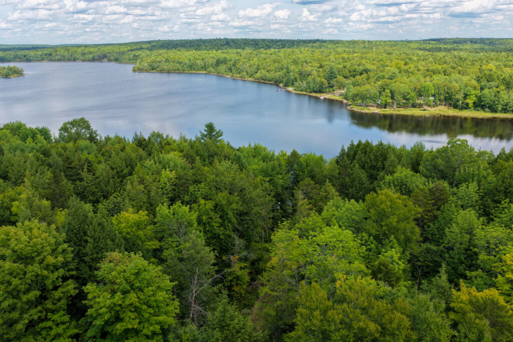 Property photo for land for sale in Aroostook County Maine