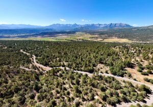 Property photo for land for sale in Ouray County Colorado
