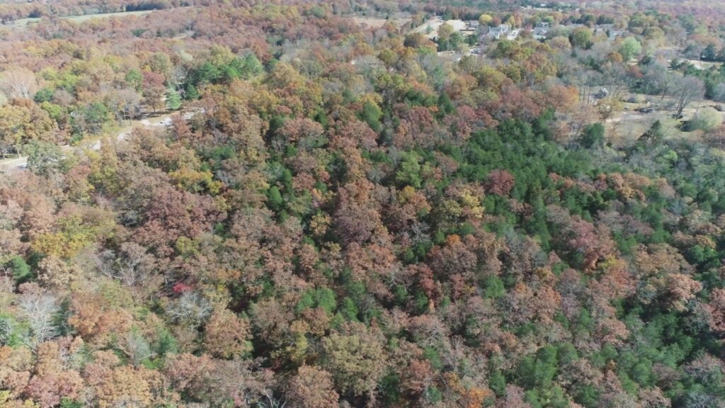 Property photo for land for sale in Taney County Missouri