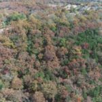 Property photo for land for sale in Taney County Missouri