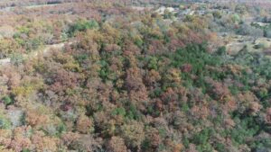 Property photo for land for sale in Taney County Missouri