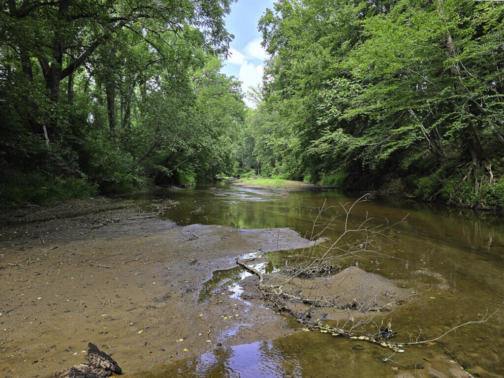 0e48465a-ec43-4fc3-824b-ffca9463d515.jpg