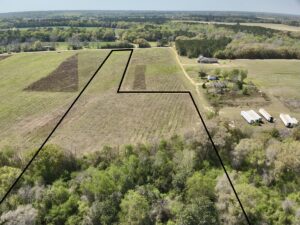 Property photo for land for sale in Houston County Alabama
