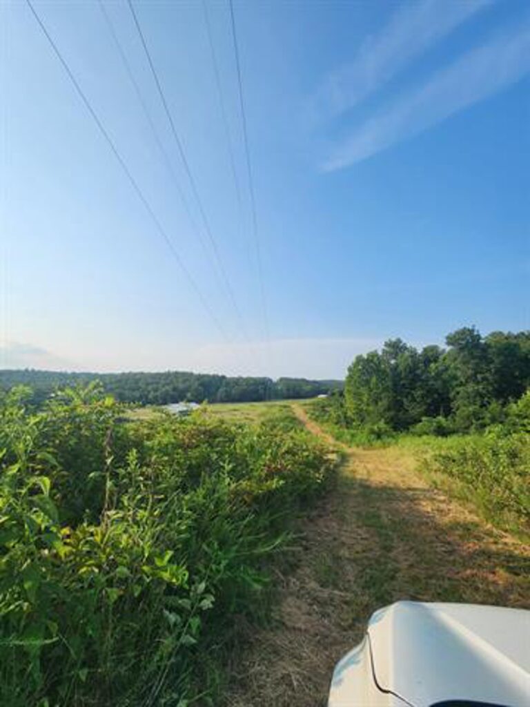 125ac88c-2402-4df2-b4cb-74b465928e00.jpg