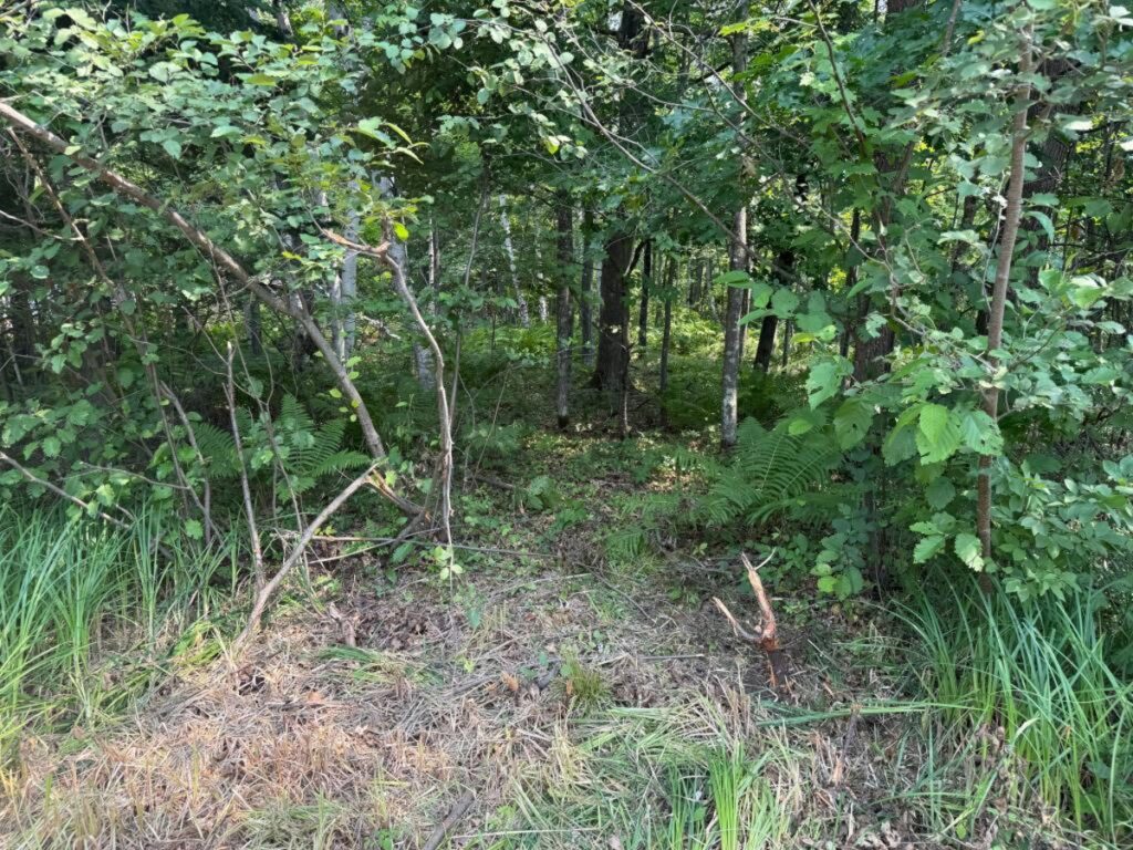 Property photo for land for sale in Pine County Minnesota