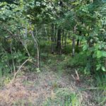 Property photo for land for sale in Pine County Minnesota