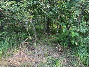 Property photo for land for sale in Pine County Minnesota