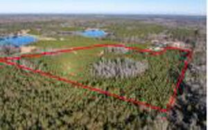 Property photo for land for sale in Suwannee County Florida