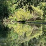 Property photo for land for sale in Pike County Mississippi
