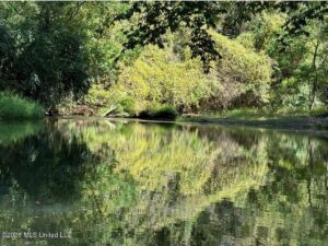 Property photo for land for sale in Pike County Mississippi