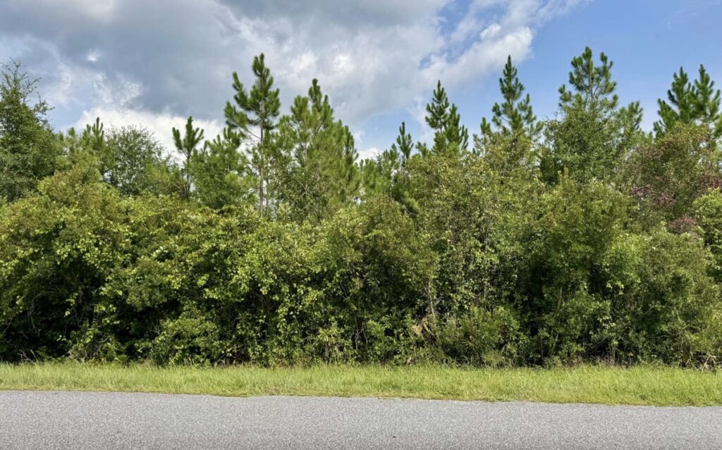 Property photo for land for sale in Hamilton County Florida