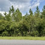 Property photo for land for sale in Hamilton County Florida
